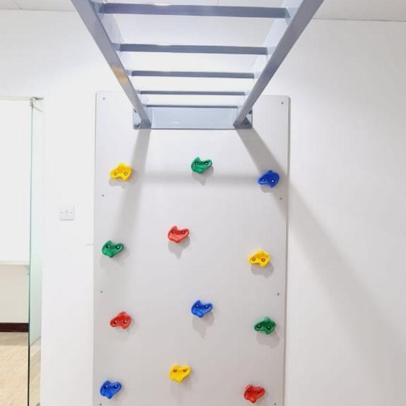 Climbing Wall with Monkey Bars | Climbing Sets