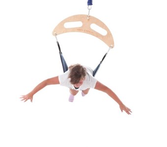 Sensory Therapeutic Frog Swing | Sensory Integration Sensory Therapeutic Frog Swing | Sensory Integration
