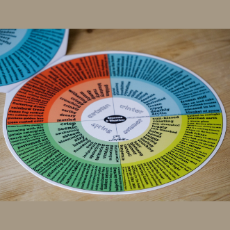 Advanced Word Wheel Book (9-13 years) | LinkyThinks