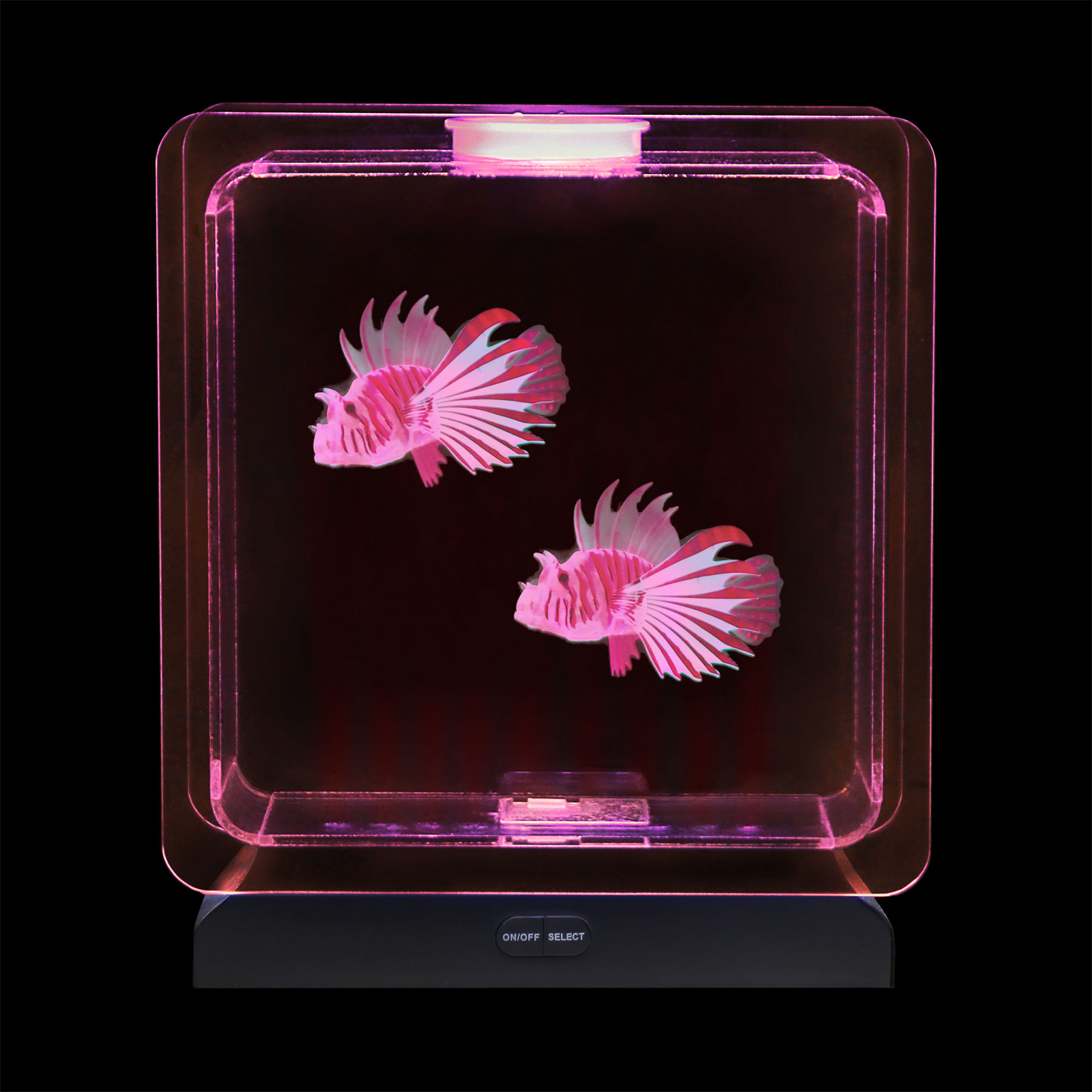 Fish Tank Square – 2 Tropical Fish | Sensory Tools