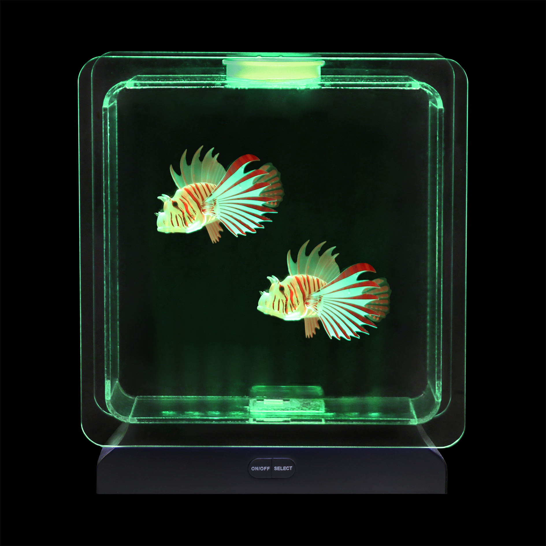 Fish Tank Square – 2 Tropical Fish | Sensory Tools