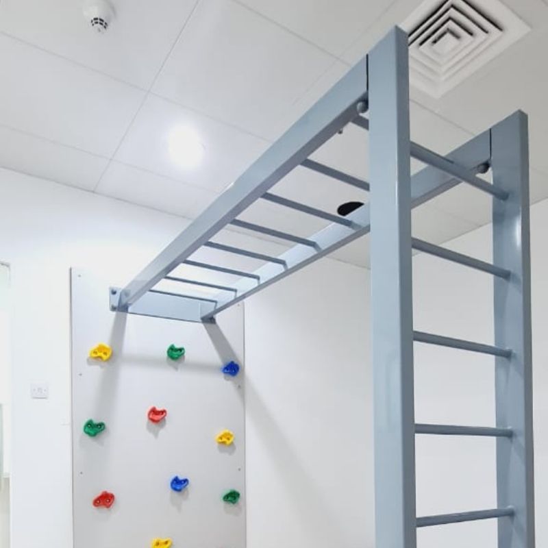 Climbing Wall with Monkey Bars | Climbing Sets