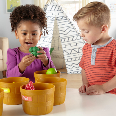 Farmer's Market Food Sorting Set | Role Play