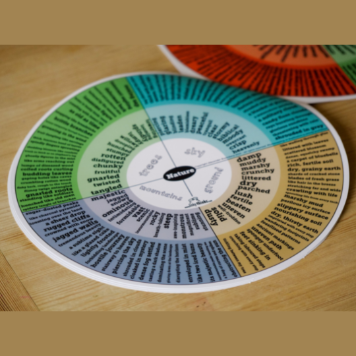 Advanced Word Wheel Book (9-13 years) | LinkyThinks