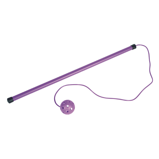 Twirl & Jumping stick | PE Equipment