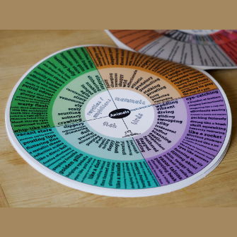 Advanced Word Wheel Book (9-13 years) | LinkyThinks