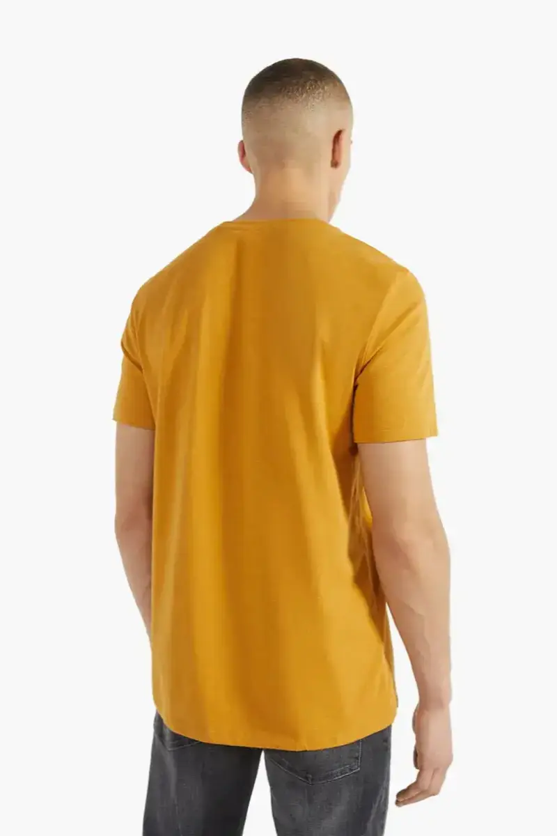 Basic Cotton Crew T-Shirt | T-Shirts
