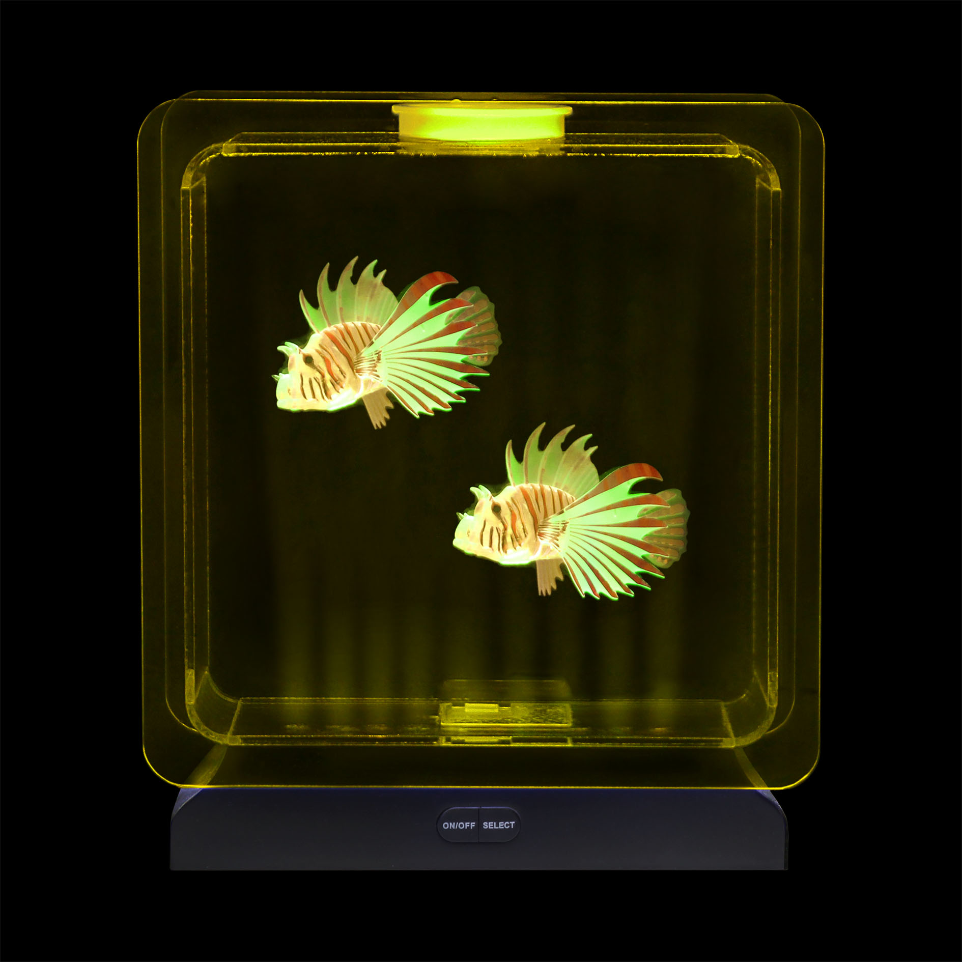 Fish Tank Square – 2 Tropical Fish | Sensory Tools